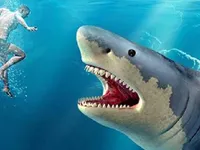 image Shark Hunting